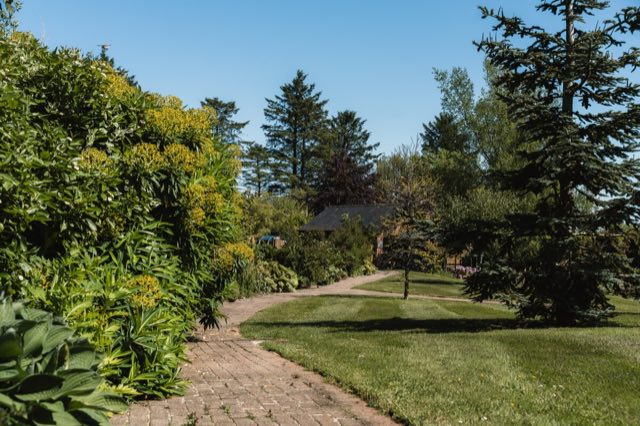 Luxury Lakeview Retreat: Garden path through the lawns and planting