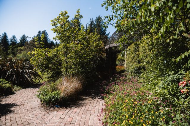 Luxury Lakeview Retreat: Winding brick path through the gardens