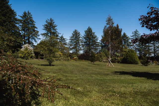 Luxury Lakeview Retreat: Open lawns and conifers in the grounds