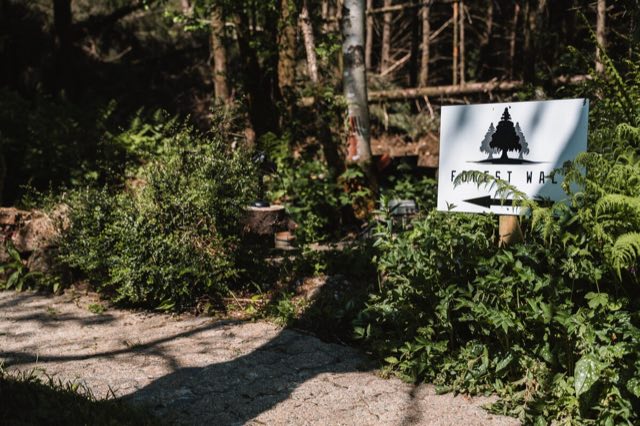 Luxury Studio: Forest walk sign at the start of the woodland path