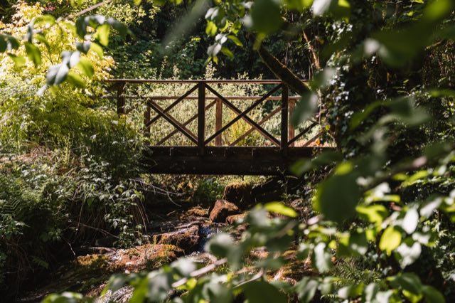 Luxury Studio: Wooden footbridge over the stream