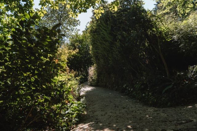 Luxury Studio: Path between tall hedges