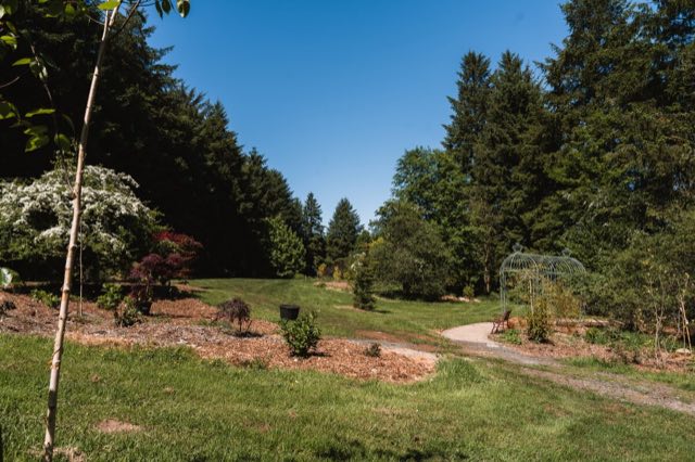 Luxury Studio: Lawn and planting in the grounds, edged by tall conifers