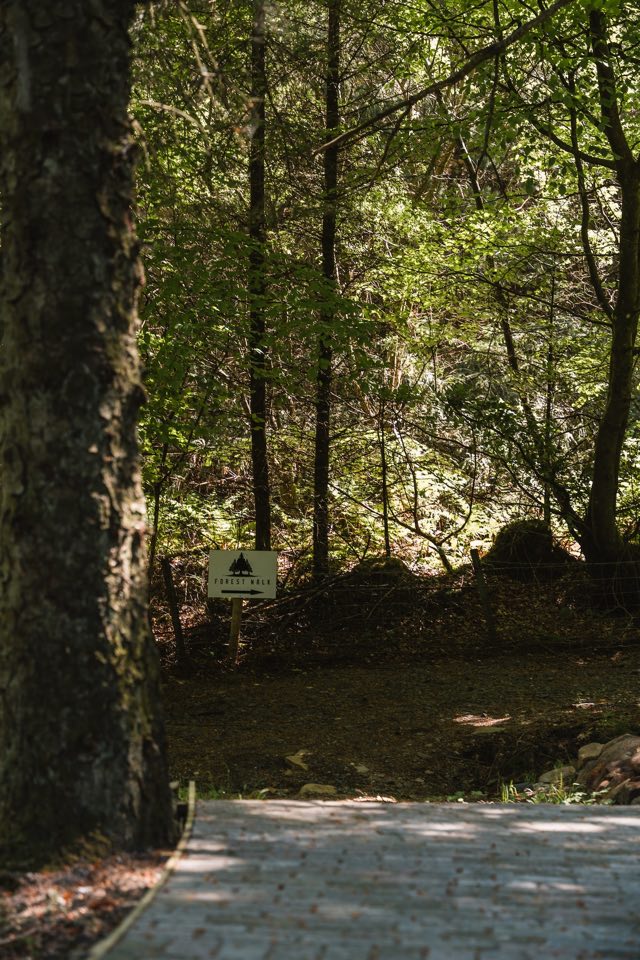 Luxury Studio: Paved path leading into the forest
