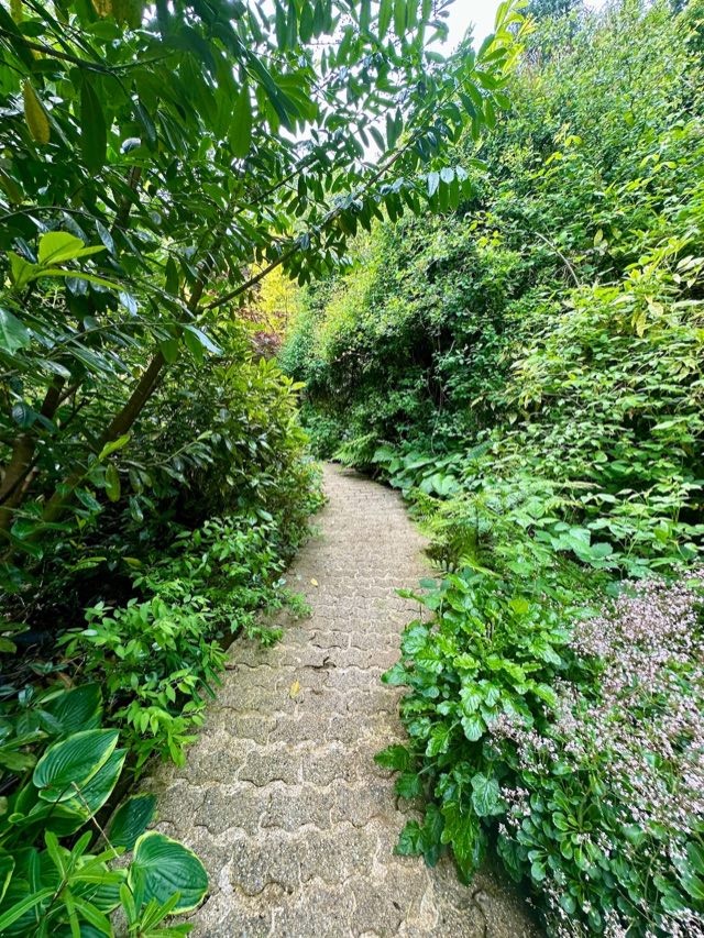 Luxury Studio: Winding path through lush planting