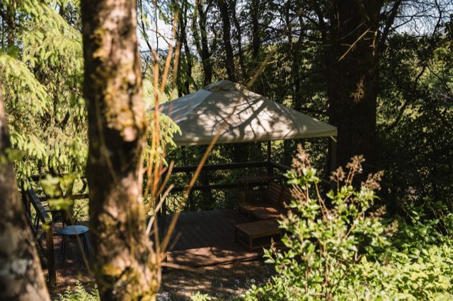 Luxury Studio: Gazebo among the trees
